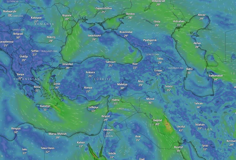 Doğu Karadeniz'de ‘sağanak’ alarmı: 4 il için sarı kodlu uyarı 21